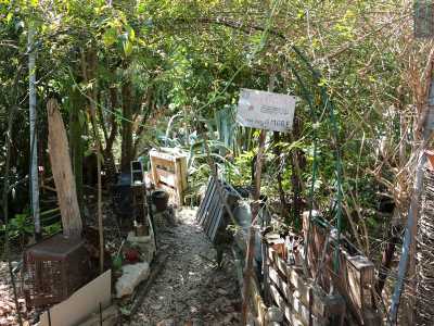 Persi in questi pensieri usciamo dal giardino percorrendo �via dell�amore�, la nostra preferita, sormontata da una cupola di rampicanti che ci avvolge come se non volesse farci andare via...